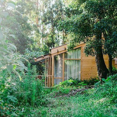 Cabanas Da Viscondessa Urzelina Eksteriør bilde